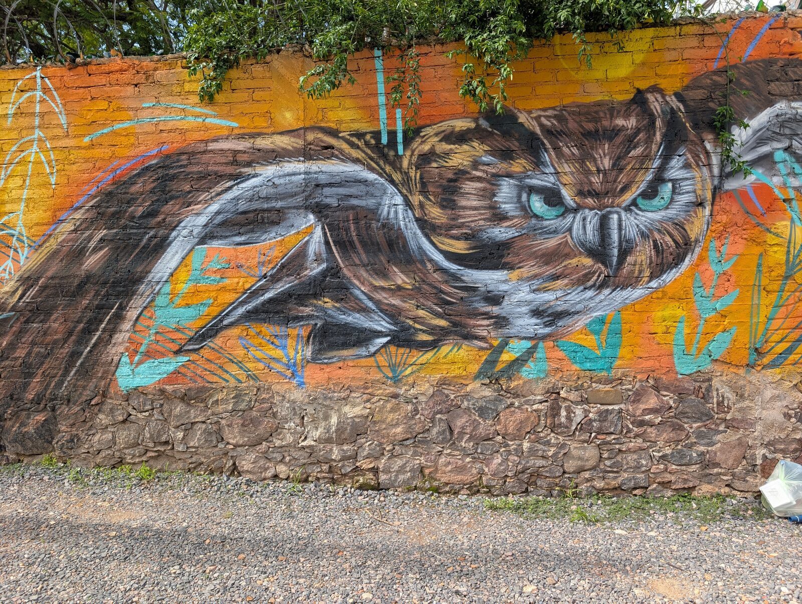 Great horned owl