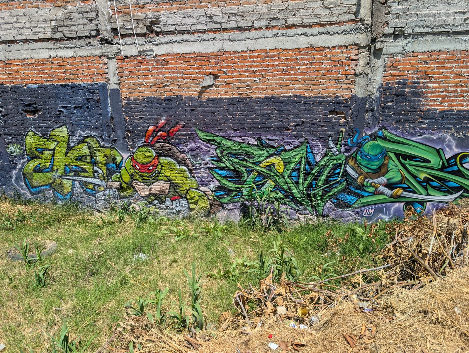 Ninja turtles and letters