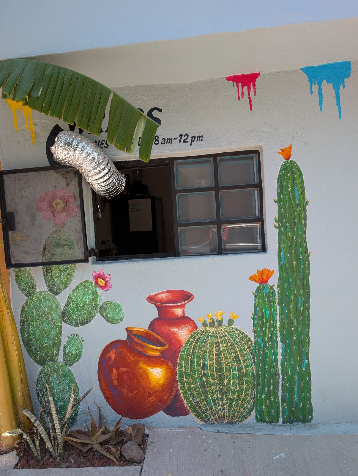 Cacti and clay pots