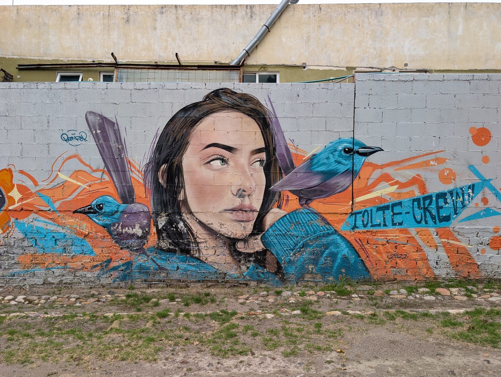 Woman with blue birds