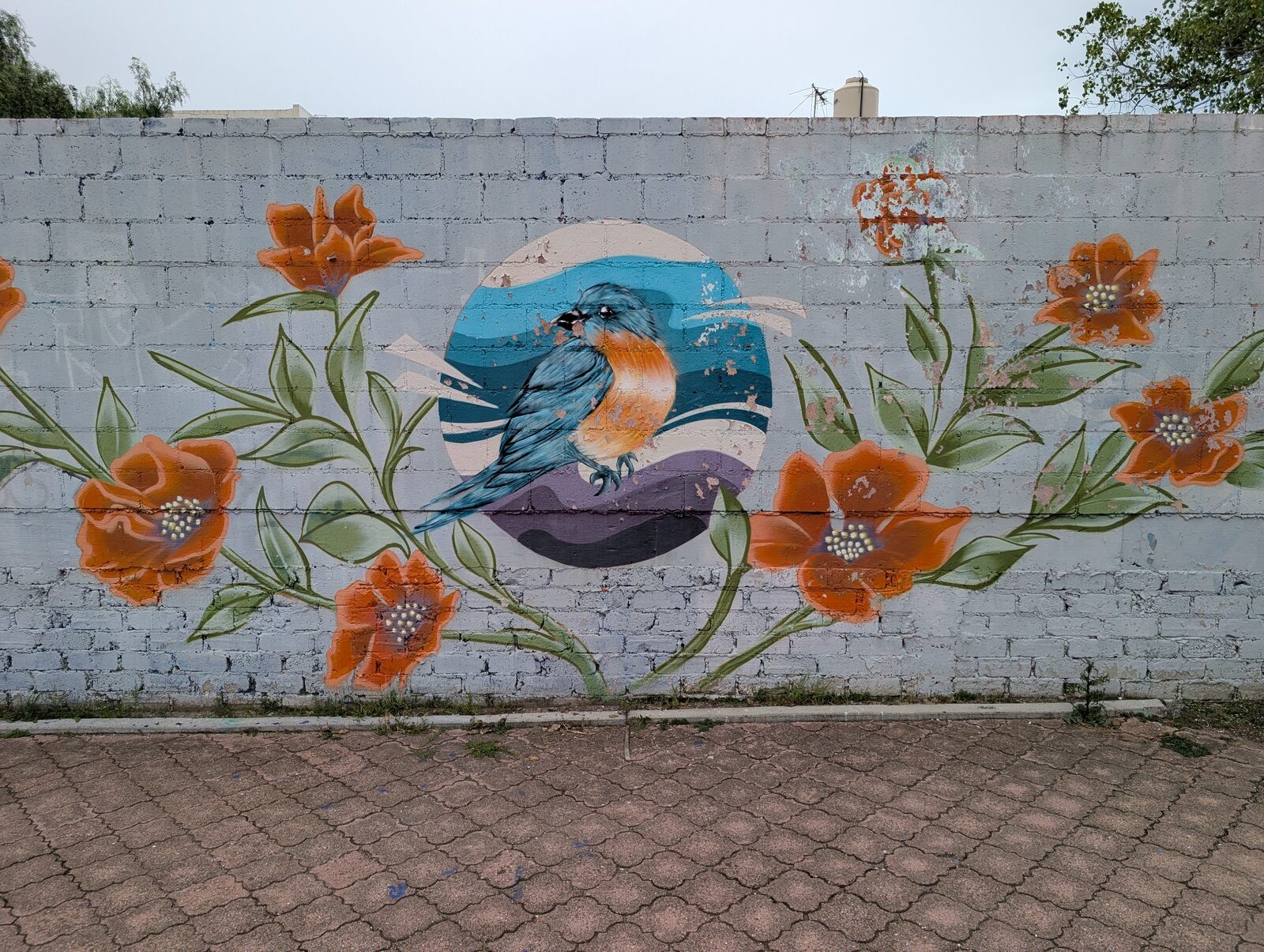 Bluebird among poppies