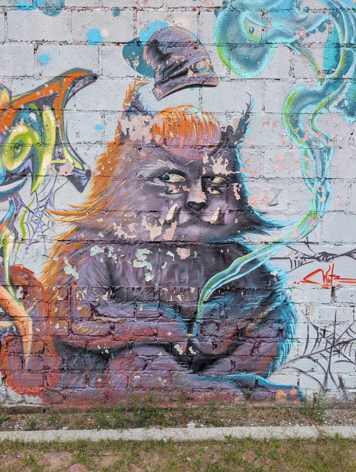 Grumpy fluffy cat