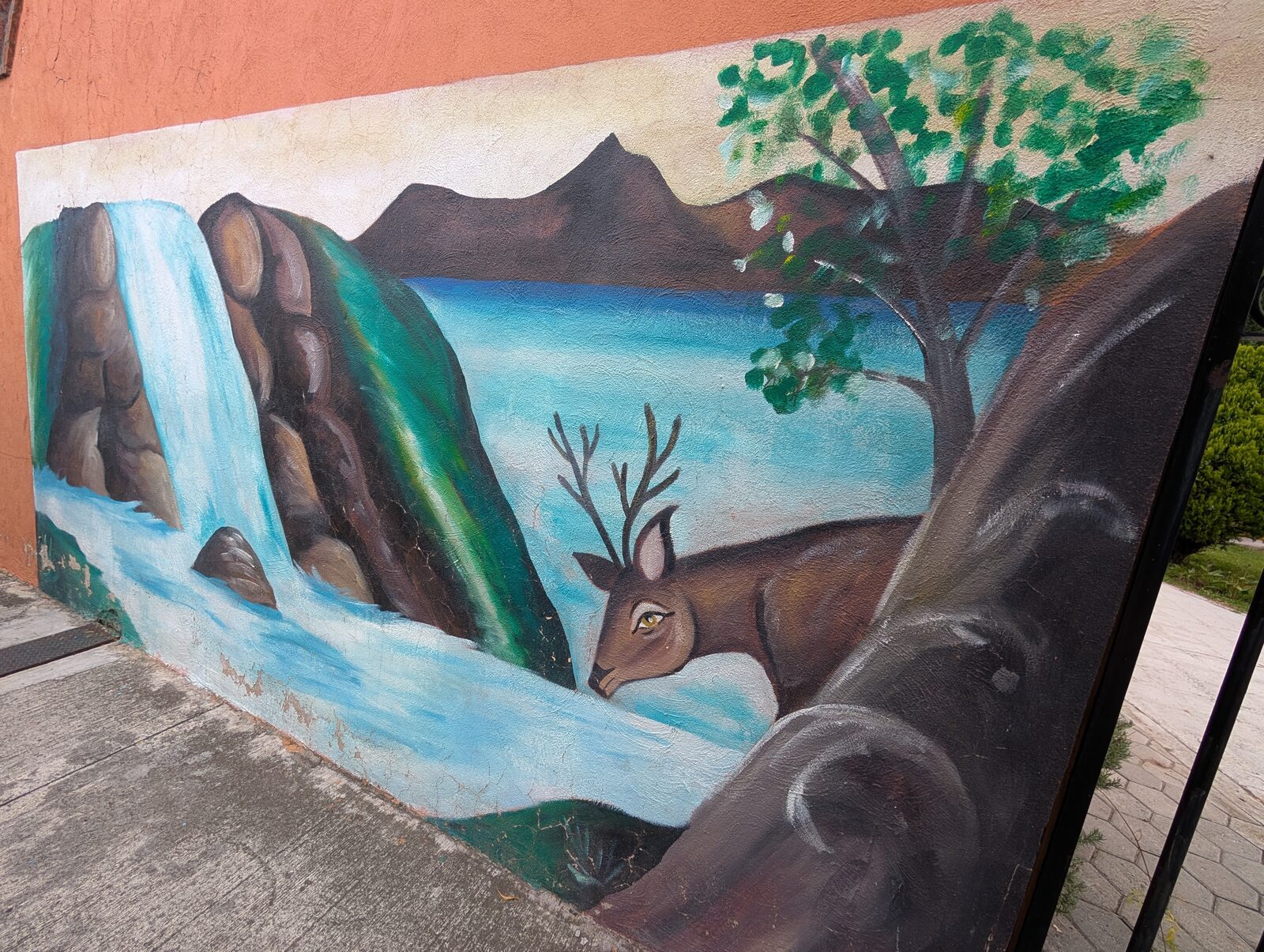 Deer by a waterfall