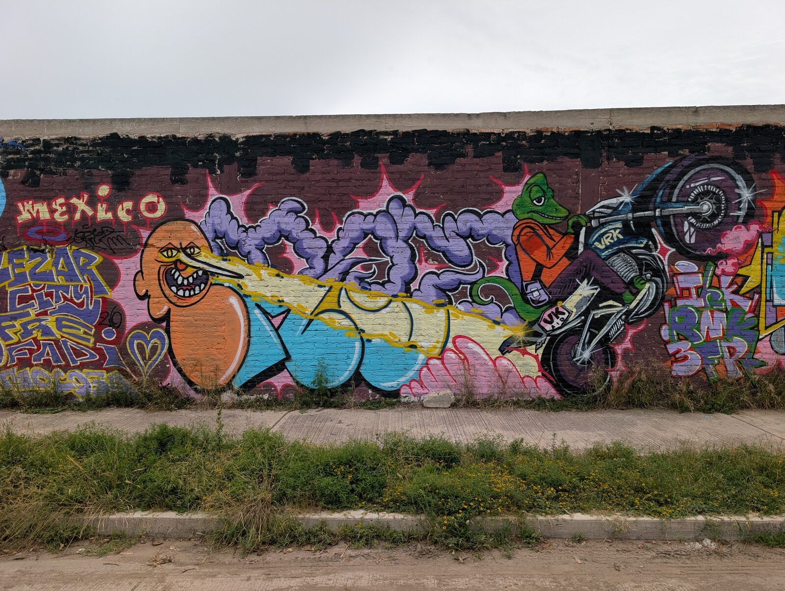Lizard biker and creatures