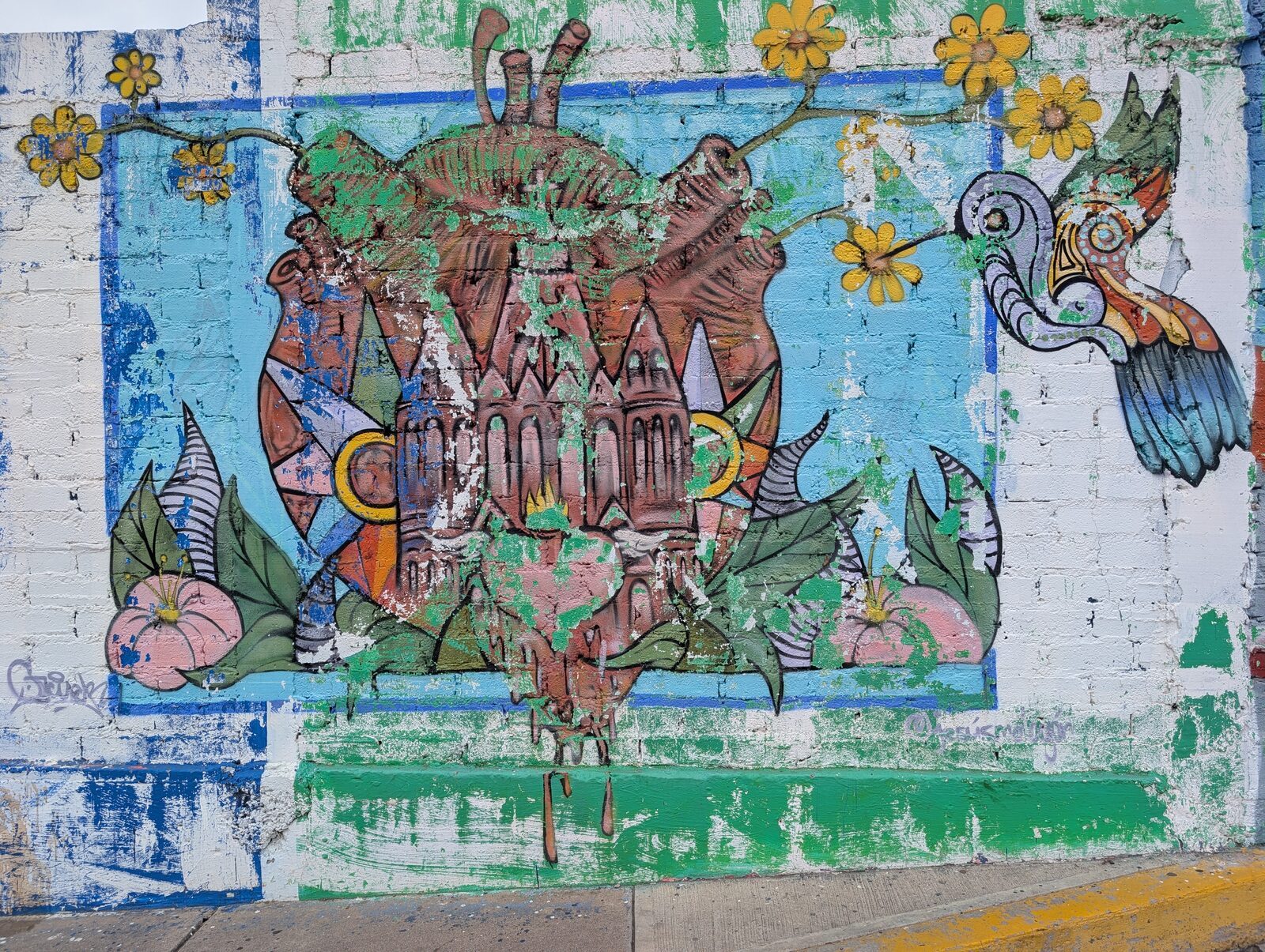 Parroquia and hummingbird
