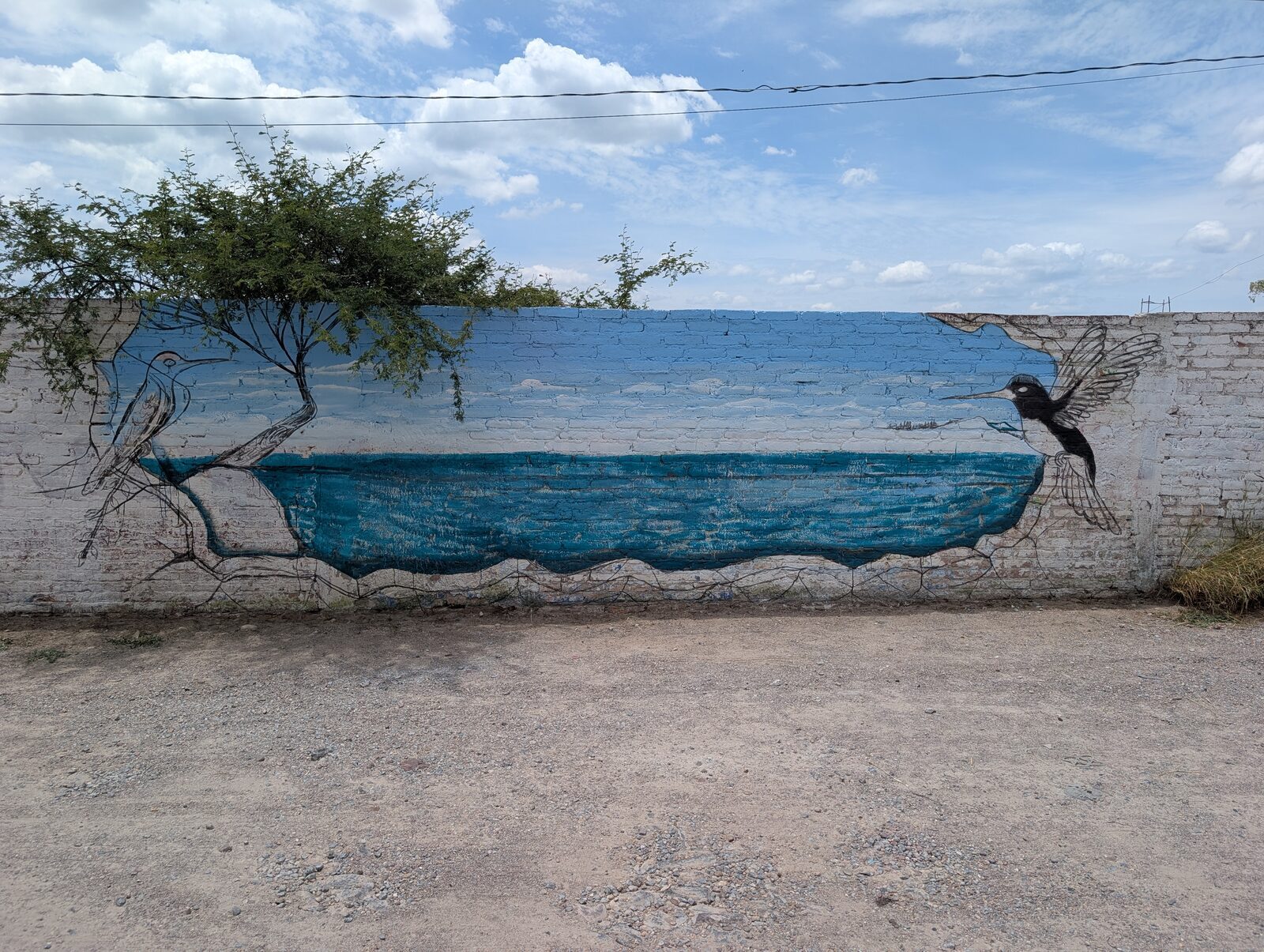 Colibríes sobre el agua