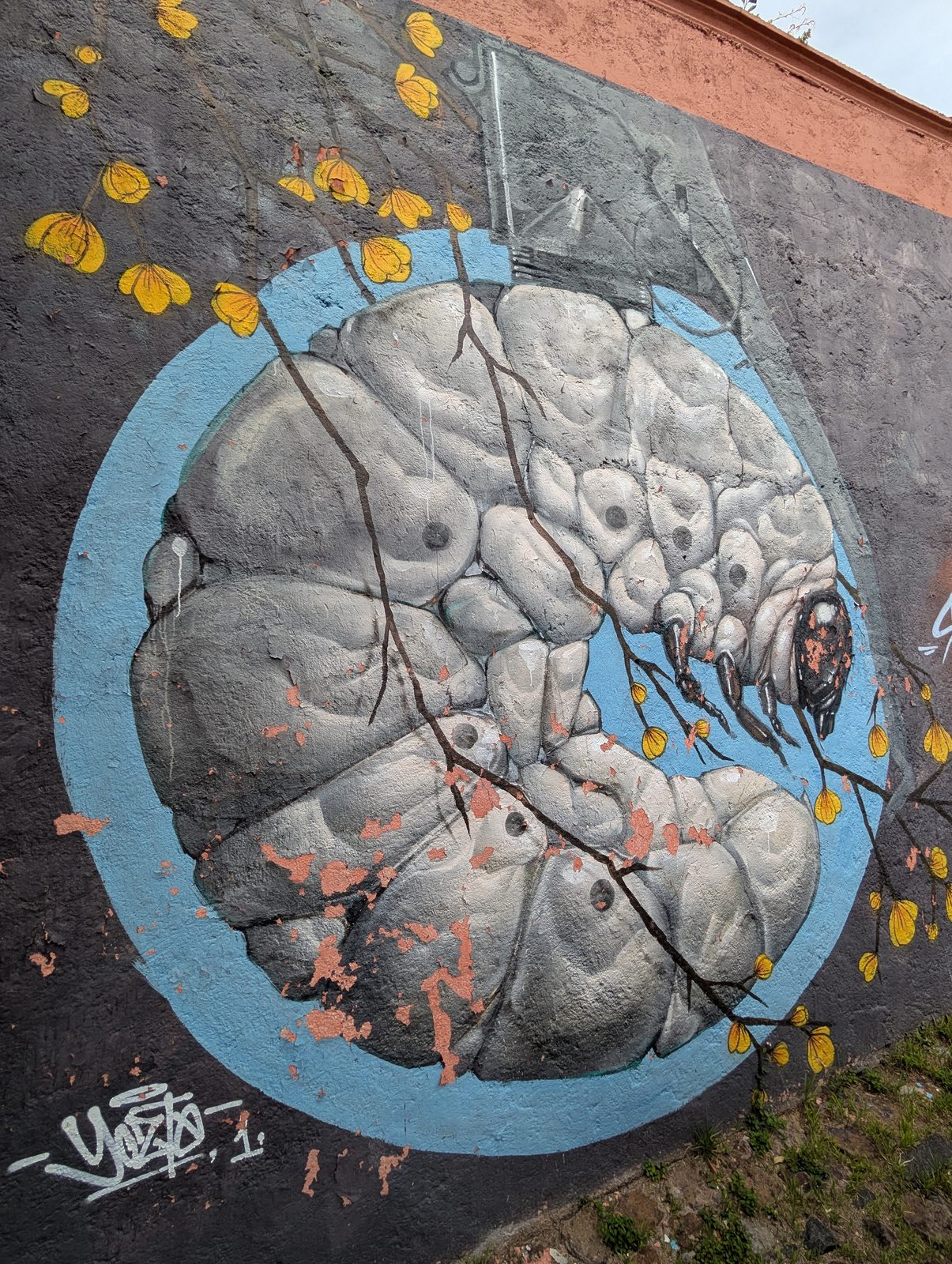 Tardigrade