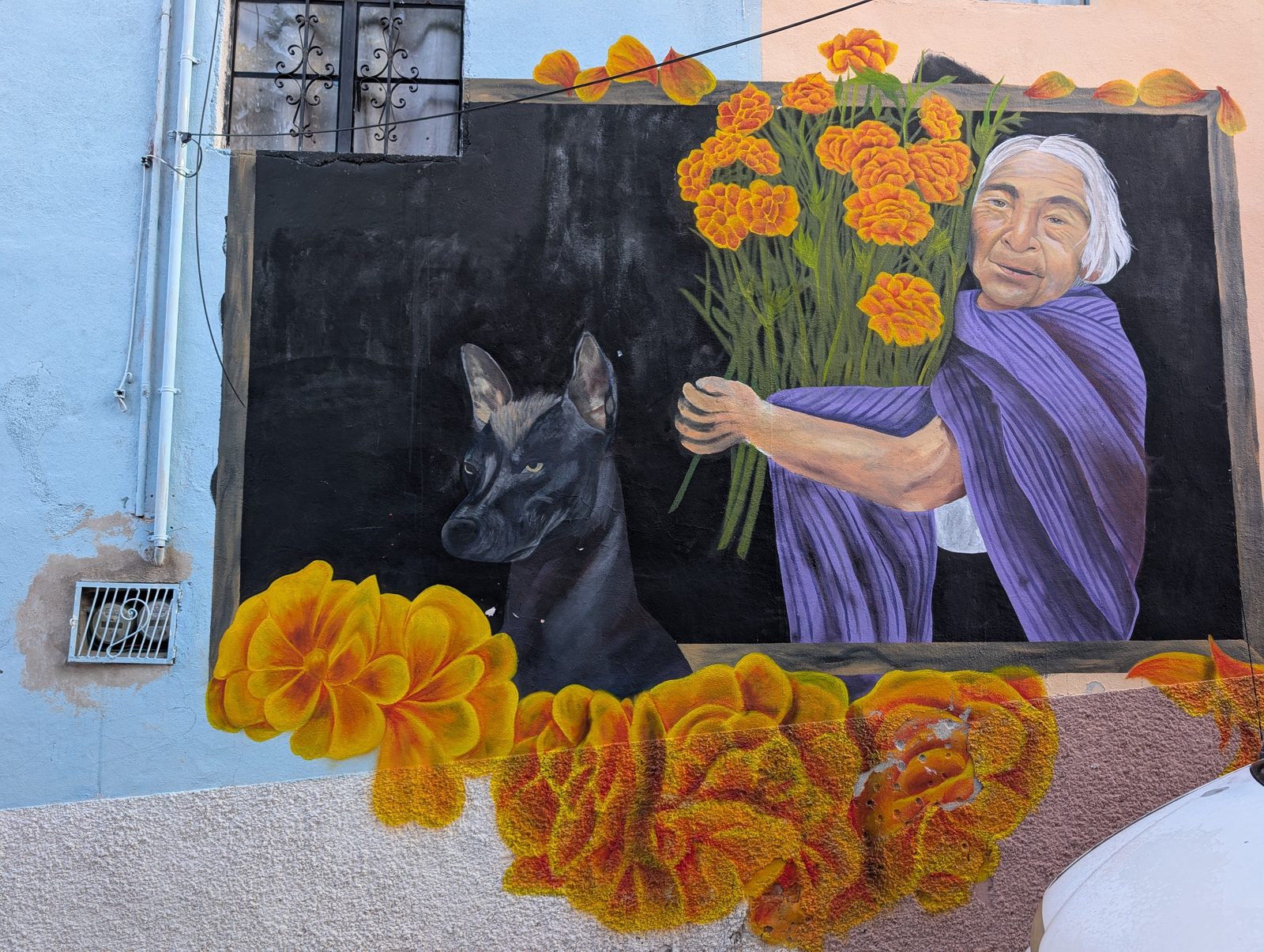 Mujer con cempasúchiles y xolo