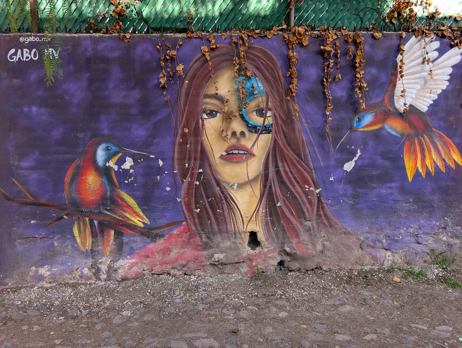 Mujer de ojo glitch y colibríes