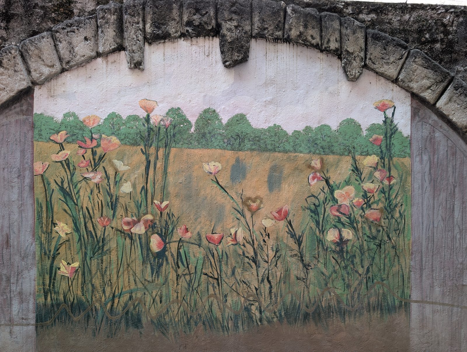 Prado de amapolas