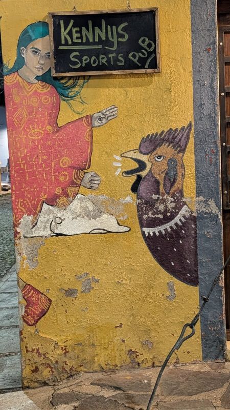 Woman and rooster