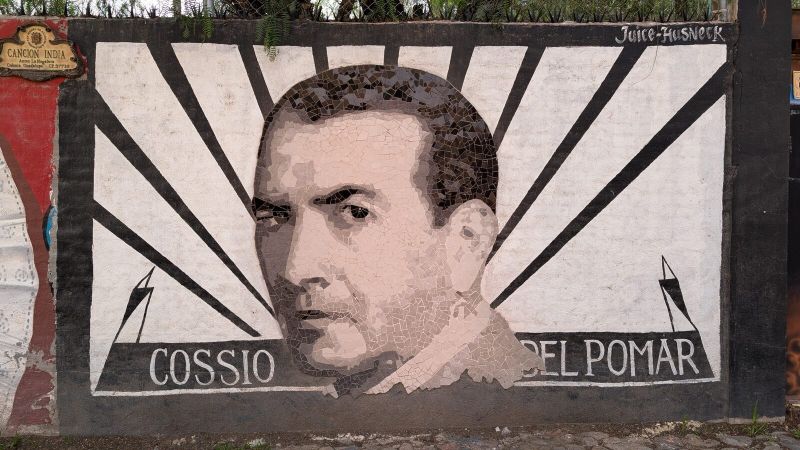 Cossío del Pomar portrait