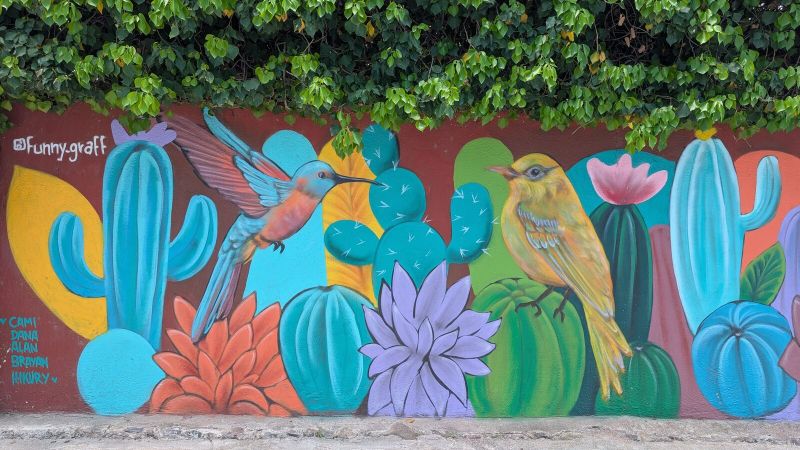 Hummingbird among cacti
