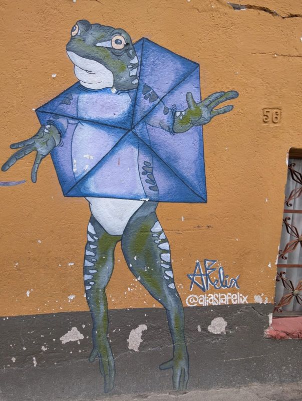 Frog with kite