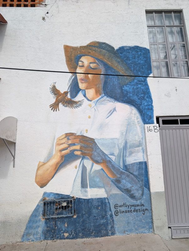 Woman releasing bird