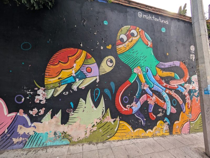 Turtle and octopus