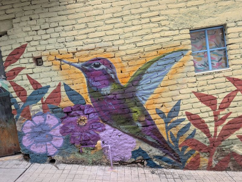 Purple hummingbird