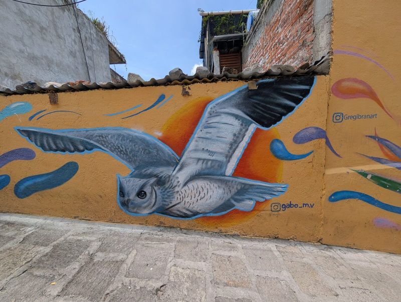 Owl in flight
