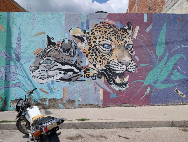 Jaguar and ocelot heads