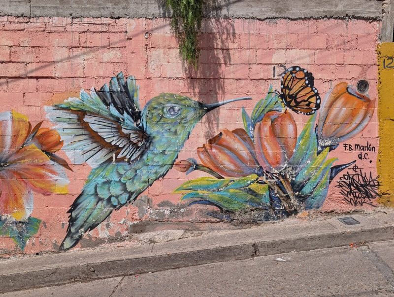 Hummingbird and monarch