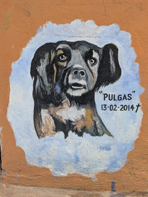 Pulgas memorial portrait