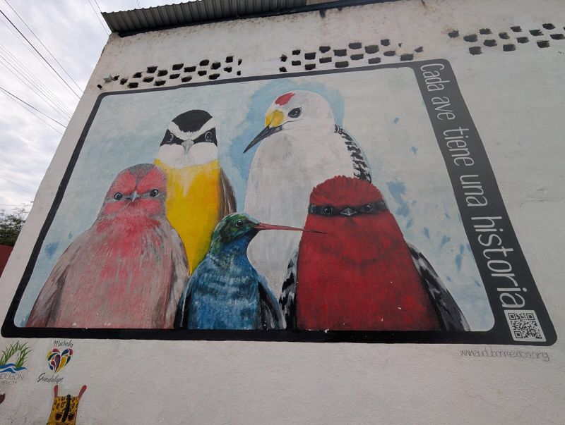 Five birds