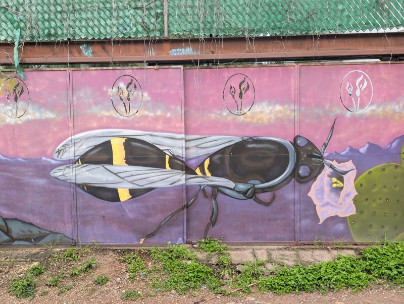 Giant bee over desert