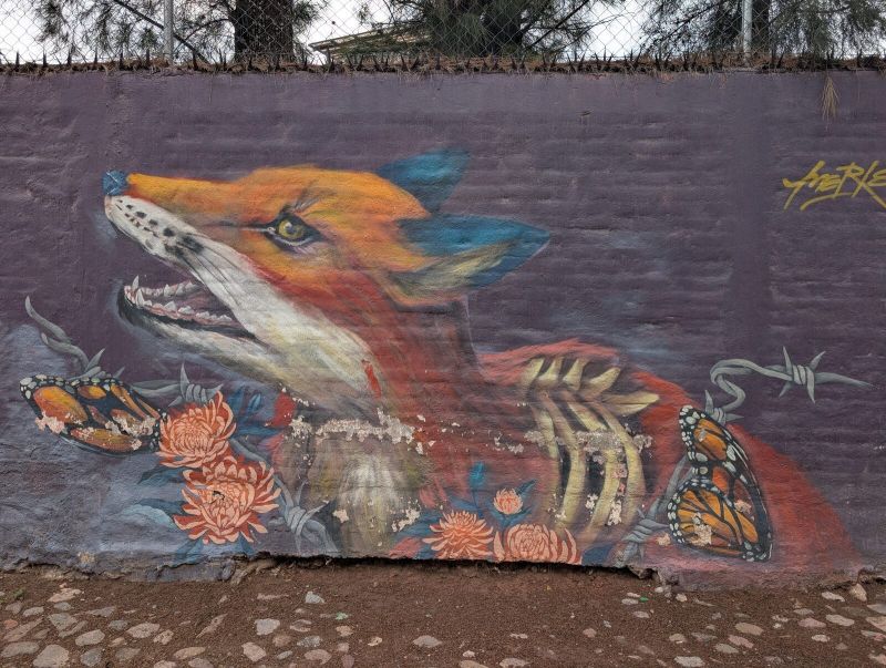Half-skeletal fox