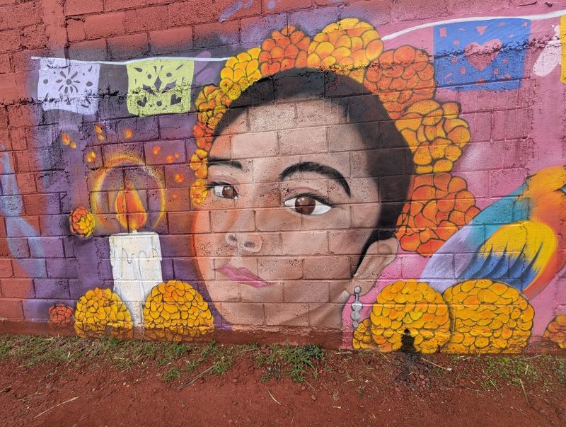 Woman among marigolds