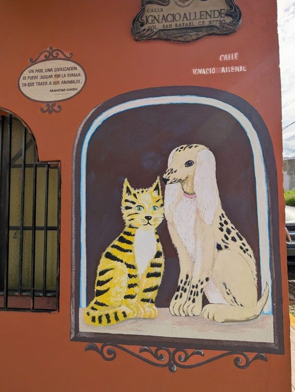 Cat and dog niche