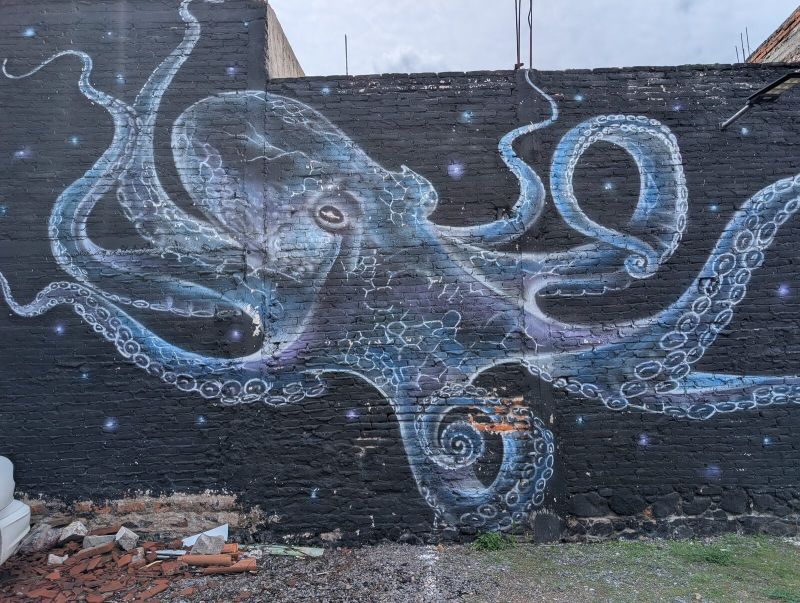 Pale octopus on black