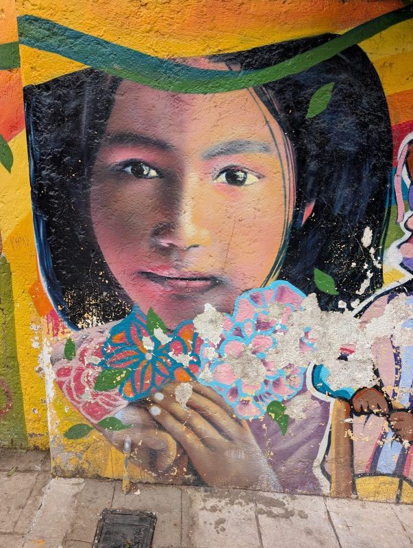 Girl with embroidered flowers