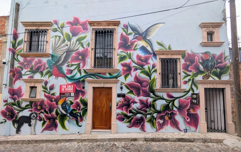 Bougainvillea and hummingbirds