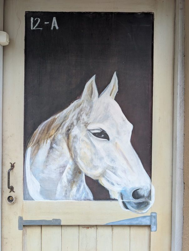 White horse head