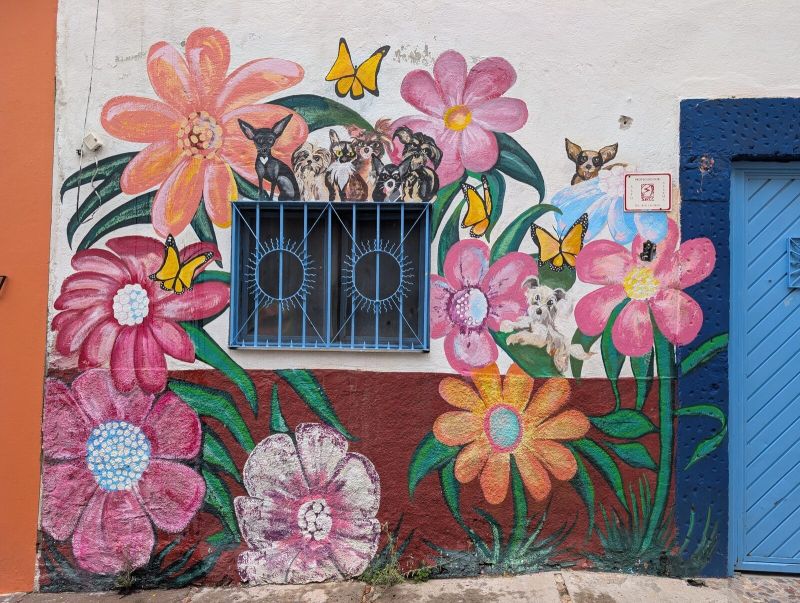 Flowers and rescue dogs