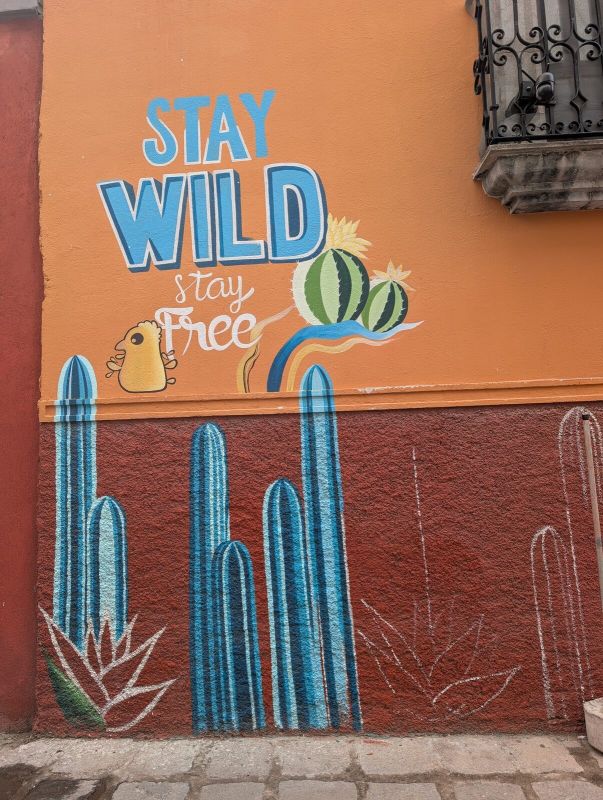 Stay Wild Stay Free cacti
