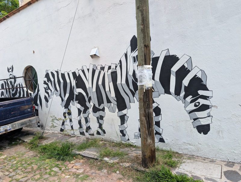 Faceted zebra herd