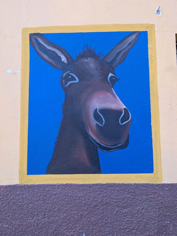 Donkey head portrait