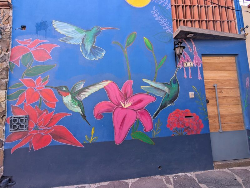 Hummingbirds and blooms