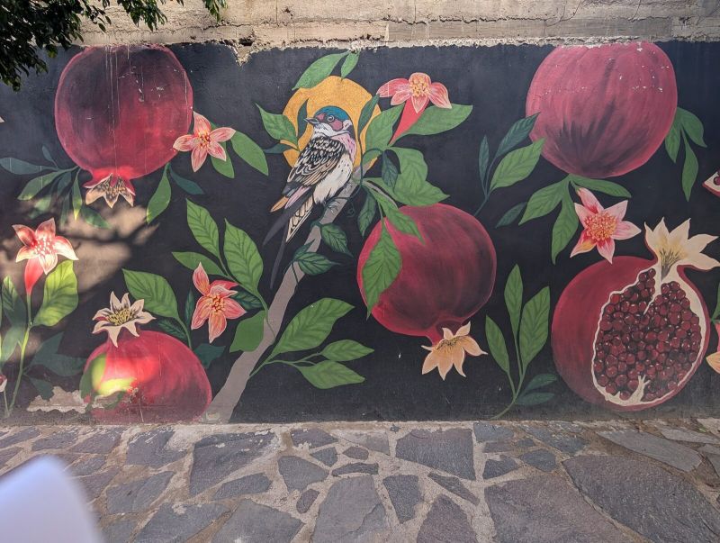 Pomegranates and bird