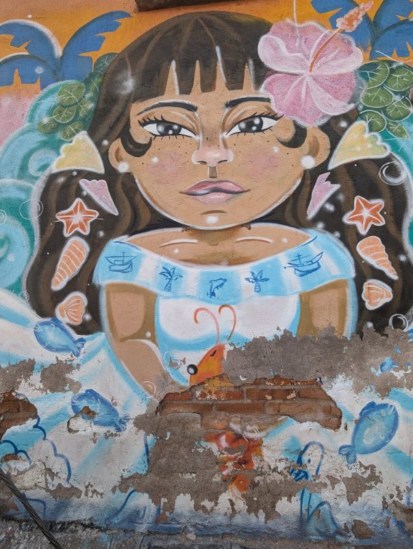 "Carmen"