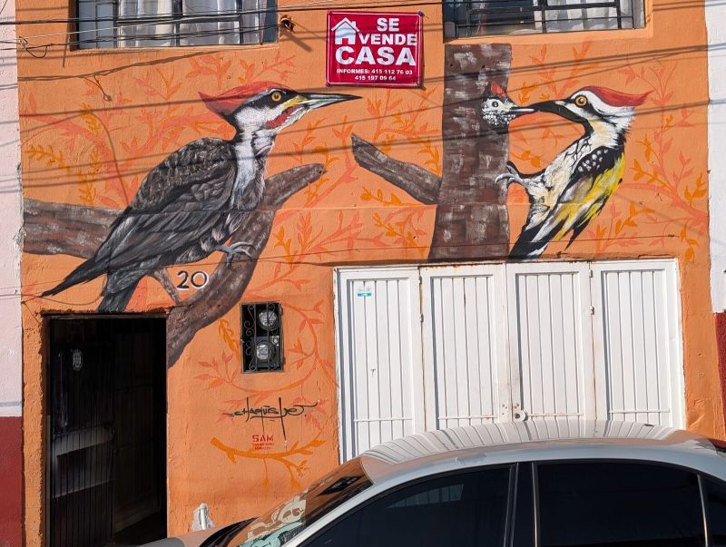 Two woodpeckers
