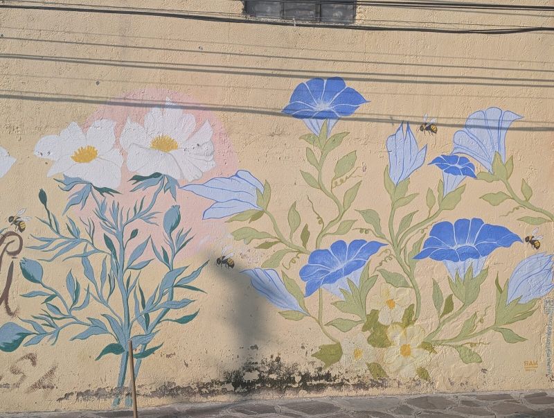 Blue morning-glories and bees