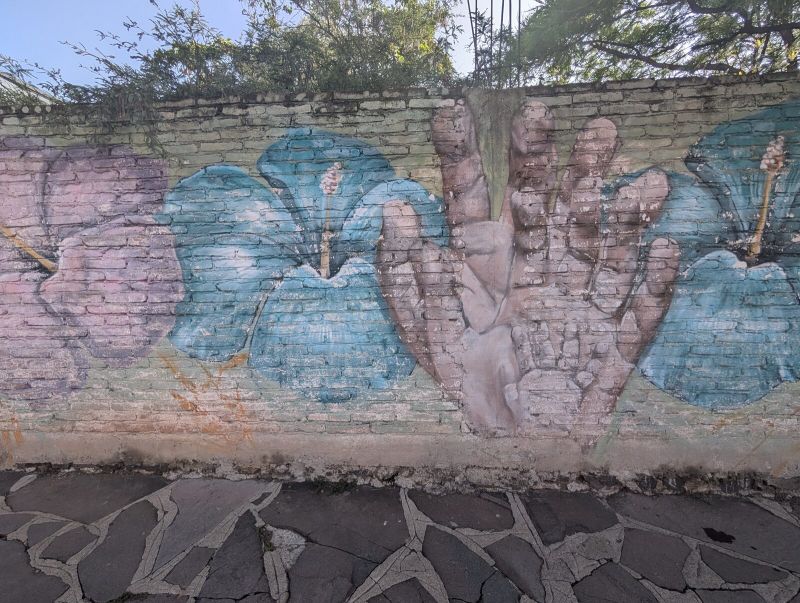Hands and blossoms