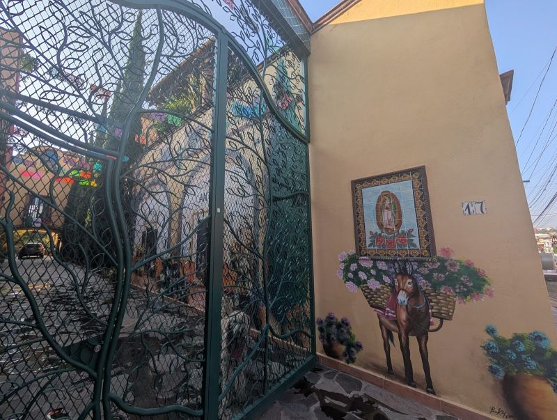 Burro and Guadalupe