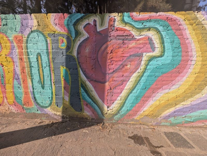 Anatomical heart