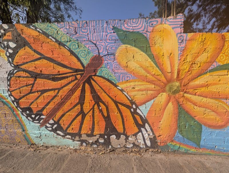 Monarch and blossom