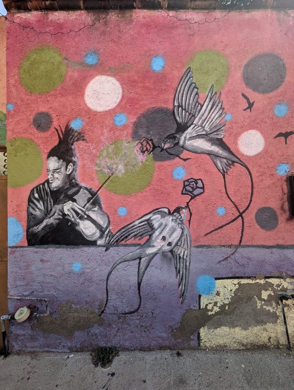 Violinist and birds