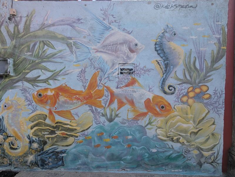 Goldfish and seahorses