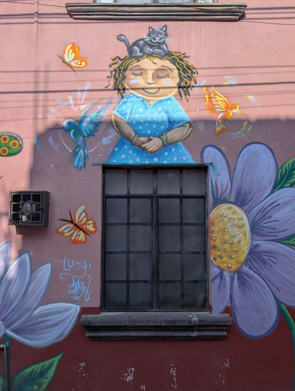 Woman with cat and hummingbirds
